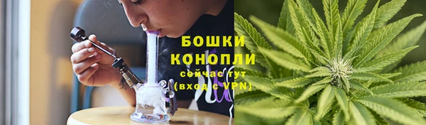 мдпв Богданович