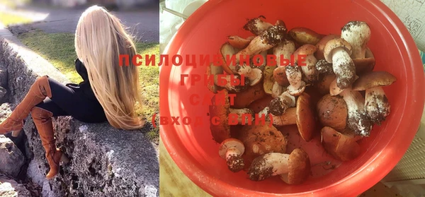 мдпв Богданович