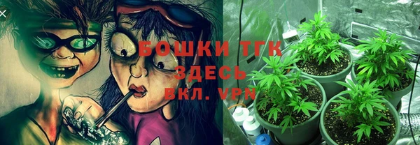 ECSTASY Богородск