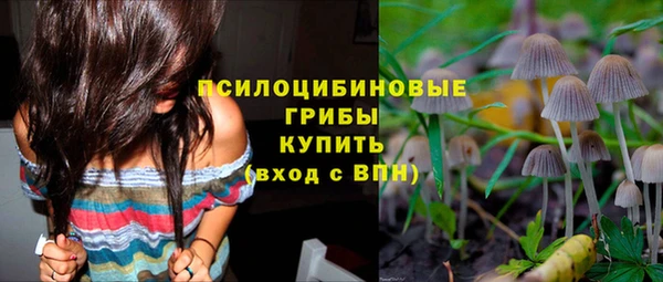 ECSTASY Богородск