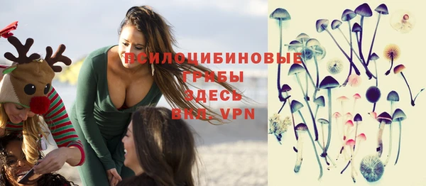 ECSTASY Богородск